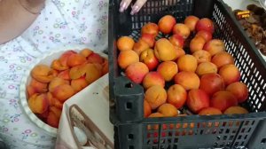 СВИНИНА С МАЙОНЕЗОМ В ДУХОВКЕ / ПЮРЕ ИЗ АБРИКОС / ПОДКРАШИВАЕМ КУХОННЫЕ ШКАФЫ