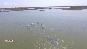 Двое детей утонули в Кизлярском районе