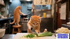 Видео про Кошек и Котят ДЕТЯМ! #3😸 Видео про ЖИВОТНЫХ для ДЕТЕЙ Видео с Животными 😸Видео про Котят