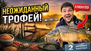 Две ночных рыбалки. Два ночных водоёма