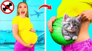 Как Пронести Домашних Животных в Самолёт # Смешные Моменты