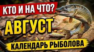 🎣 Календарь рыболова 10 - 31 АВГУСТА: Кого, на что и где ловить во второй половине АВГУСТА?