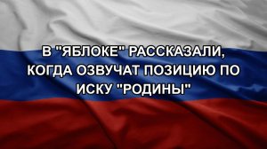 В «Яблоке» рассказали, когда озвучат позицию по иску «Родины»