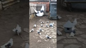 1000670618.mp4