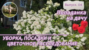 Попаданка на грядках: Уборка, посадки и цветочное расследование | Дачные будни. Выпуск 04