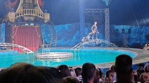 Цирк на воде мне понравилось.mp4