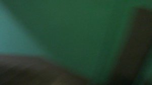 Пассажирский лифт V=0,71 м-с, Q=320 кг (5486)