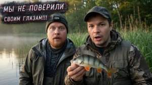 Рыбалка на удочку! Окунь, ёрш, И немного юмора