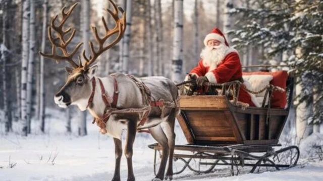 Алмазный новогодний олень 🎄🦌