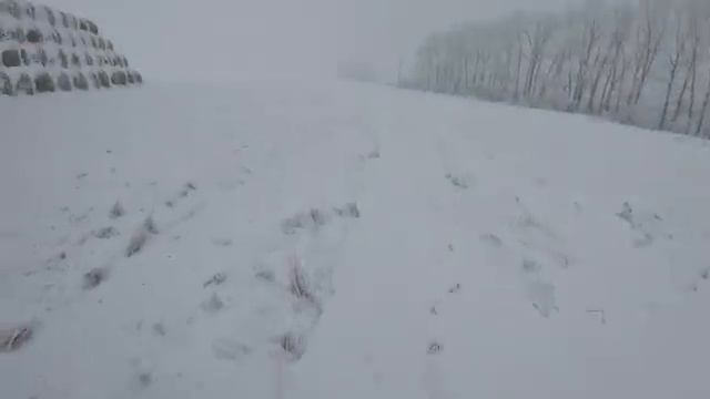 ОХОТА НА ЗАЙЦА, ВЫСТРЕЛ НА СЕНОВАЛЕ, 32 КАЛИБР