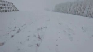 ОХОТА НА ЗАЙЦА, ВЫСТРЕЛ НА СЕНОВАЛЕ, 32 КАЛИБР