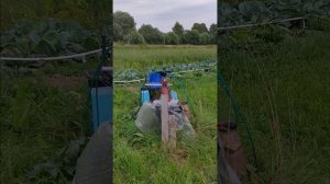 Мирная Жизнь в деревне «Осиновица»