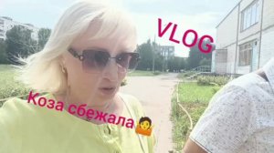 Весёлый КРОСС🤷Глупость -дар Божий или скрытая токсичность