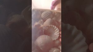Обзор на покупки к школе 😜Ждёте вторую часть?