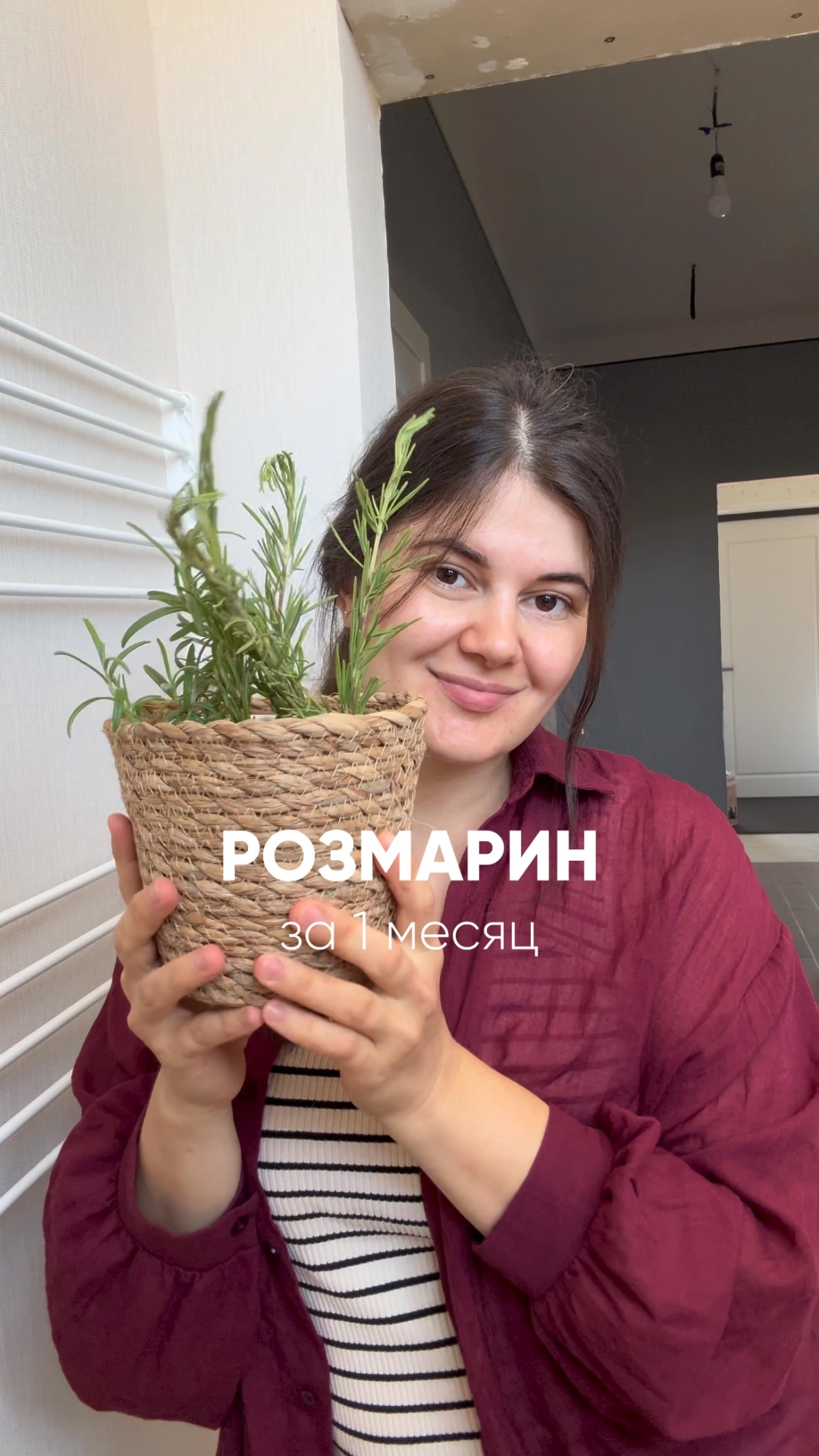 Выращиваем розмарин