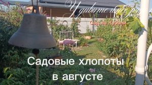 Садовые хлопоты в августе!  Внучатки выручают! 08.08.2026г.