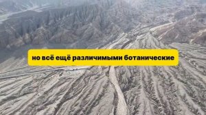 ПОСЛЕ ЛИВНЯ В ТАЙГЕ ОБРУШИЛСЯ БЕРЕГ… То, что нашел егерь, ИЗМЕНИТ ВСЁ!