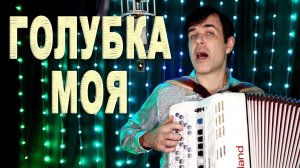 Трогательная песня о маме: „Голубка моя“  под баян