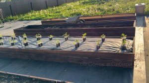 КЛУБНИКА ЗАВАЛИТ УРОЖАЕМ! Уход, обрезка, обработка в Августе!