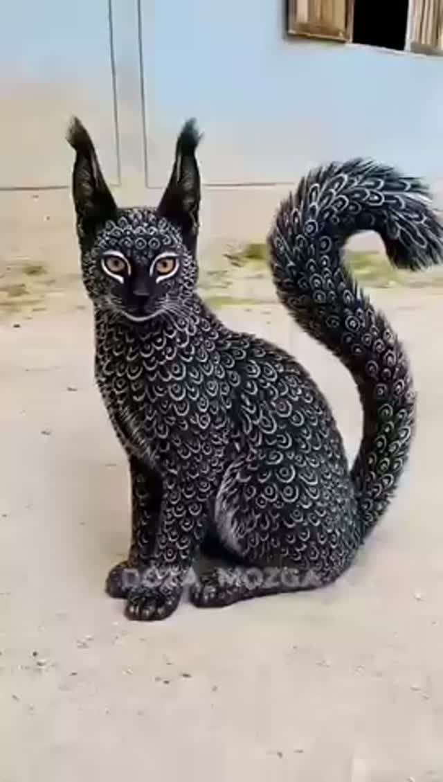 Красивее этих кошек нет