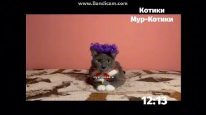 Фрагмент эфира (Котики Мур-Котики, 11.09.2017)