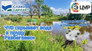 Что скрывает вода в пруду Разбегаево Первые пробы