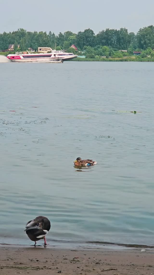 На Волге🦆🛳️