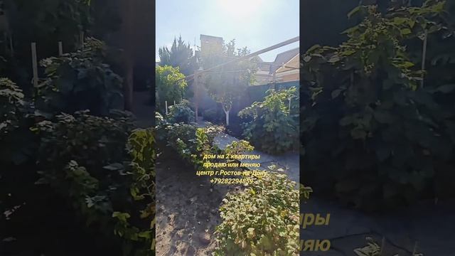 1000402528.mp4
