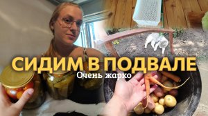 ВЛОГ ОЧЕНЬ ЖАРКО☀️ Закрываем огурчики🥒