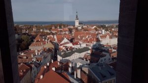 Старый город Таллина, вид с башни «Нигулисте»