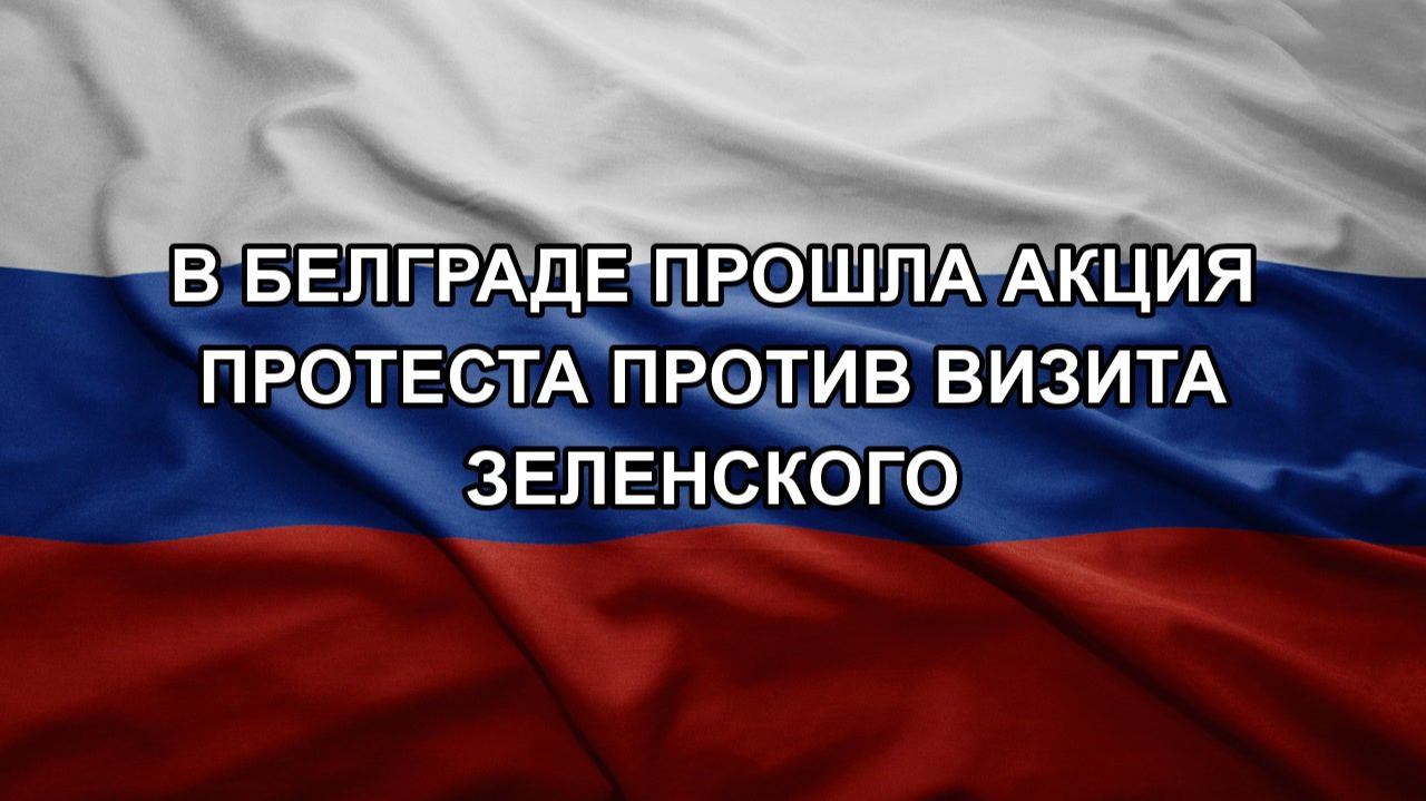 В Белграде прошла акция протеста против визита Зеленского