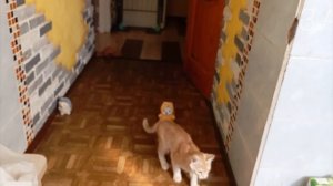 Пять ночей с Зайцем 2 5 ночь+концовка