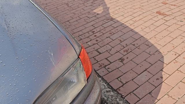 12696.mp4