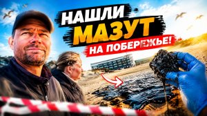Везем дочь на плавание. Нашли мазут на побережье.
