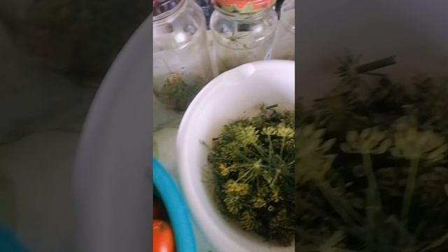 Мои закаточки девочки