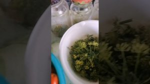 Мои закаточки девочки