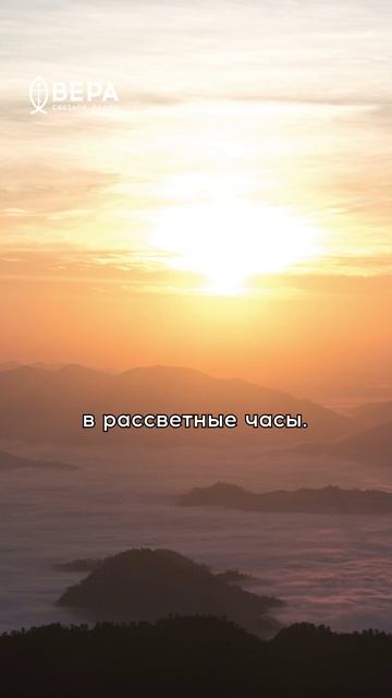 На Синае Моисей получил заповеди