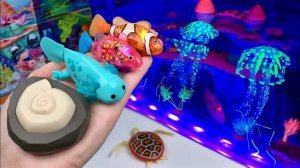 Glow Light Zuru Robo Alive Aquarium Playset ASMR Удовлетворяет распаковкой   Обзор игрушек