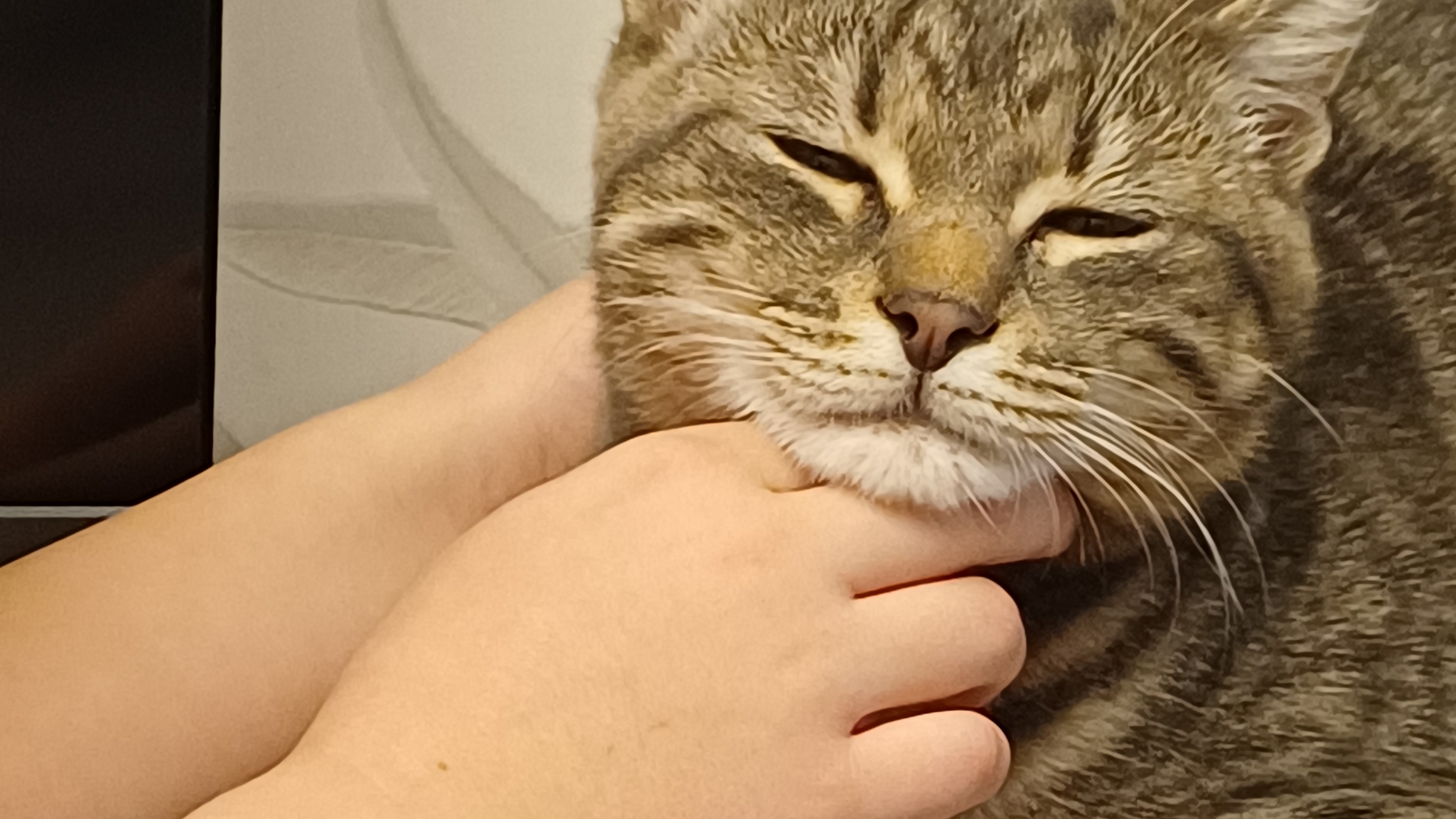 Гы😃