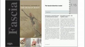 Статья д. Г. Харрера о FDM в Fascia: The Tensional Network of the Human Body, 2012