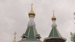 Земля. Люди. Металлы / Мультипликаторы и артисты выбирают жизнь в Газимурском Заводе
