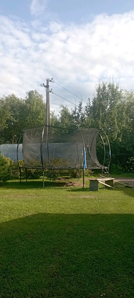 правильно на батуте создаём песню цыплята
