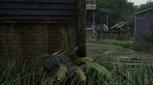 The Last of Us™ Part II Remastered часть 28