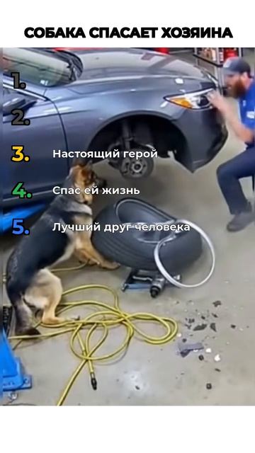 СПАСАТЕЛИ