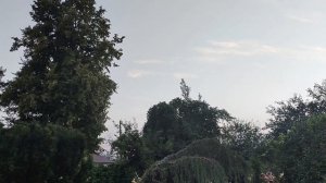 БЕЗДЕЛЬНИЦА ,ДА ЕЩЁ И ЛЕНИВАЯ🤦ЛЕНЬ ПОБЕЖДАЕТ.