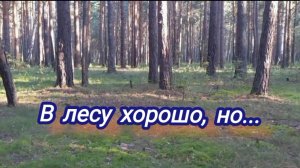 Съездили за грибами. Срезала цветную капусту, собрала урожай.