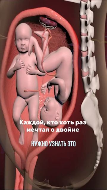 Многие пары приходят в ЭКО с мечтой о 