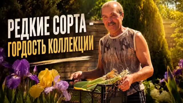 Иртисы 2026