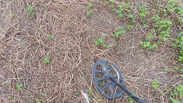 не всегда везёт, на шурфе.