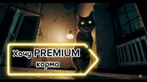 Кот читает рэп - Сидим вдвоем